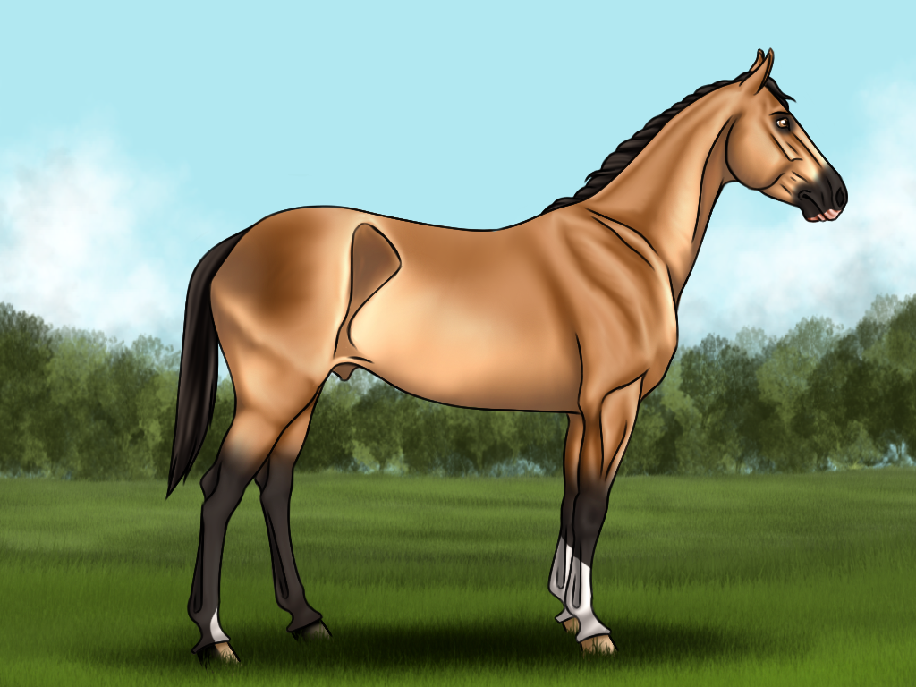 AS Ryukotsei - Sold