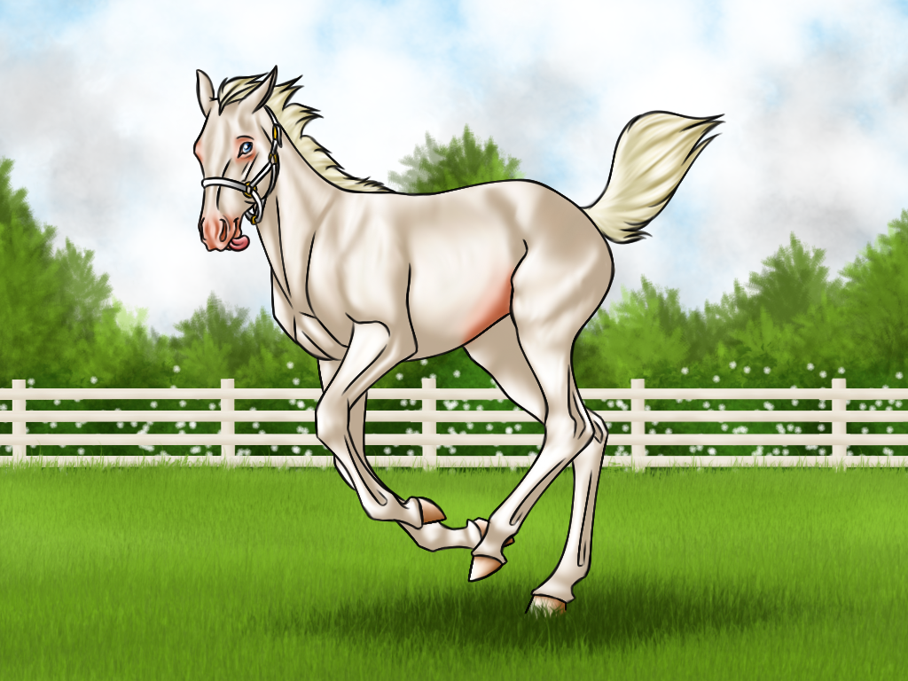 Fox - equiBreak Halter