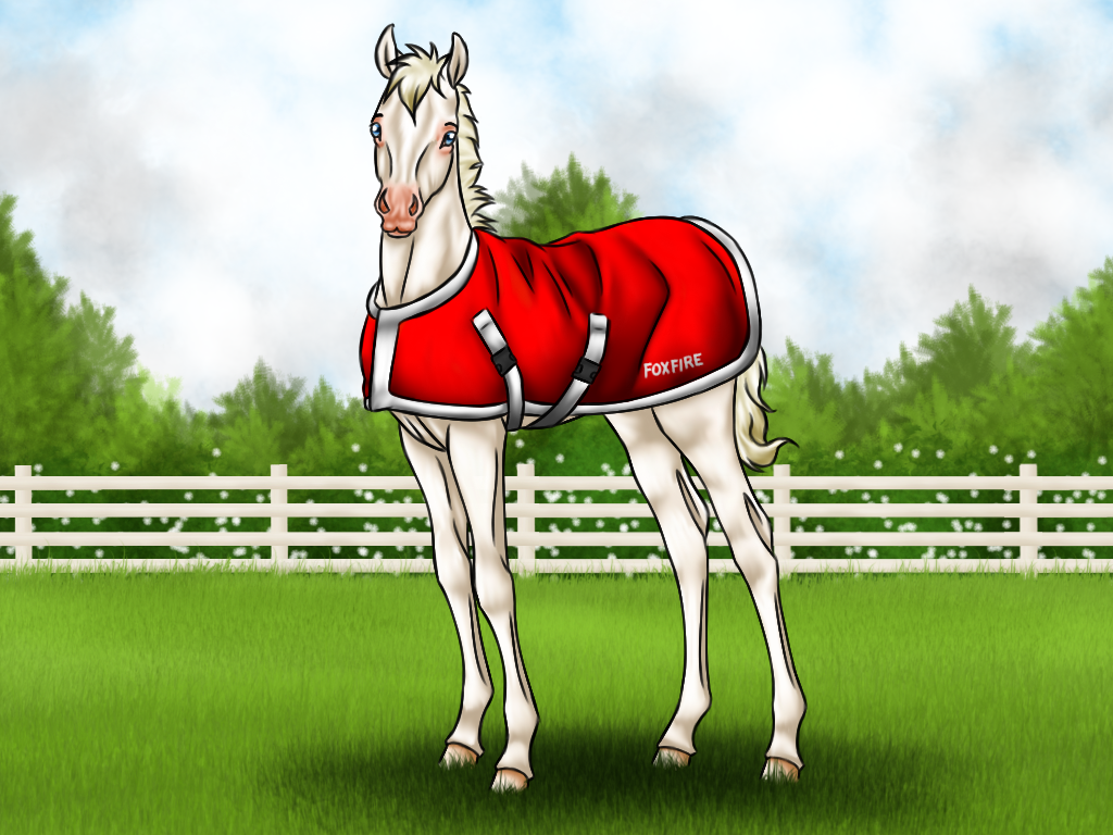 Fox equiBreak - Blanket
