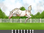Fox equiBreak - uneven ground by Caterang8