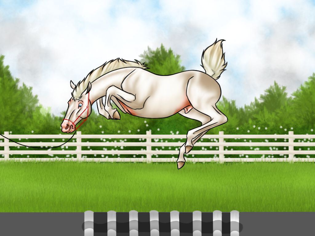 Fox equiBreak - uneven ground