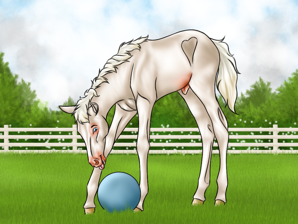 Fox equiBreak - Playtime