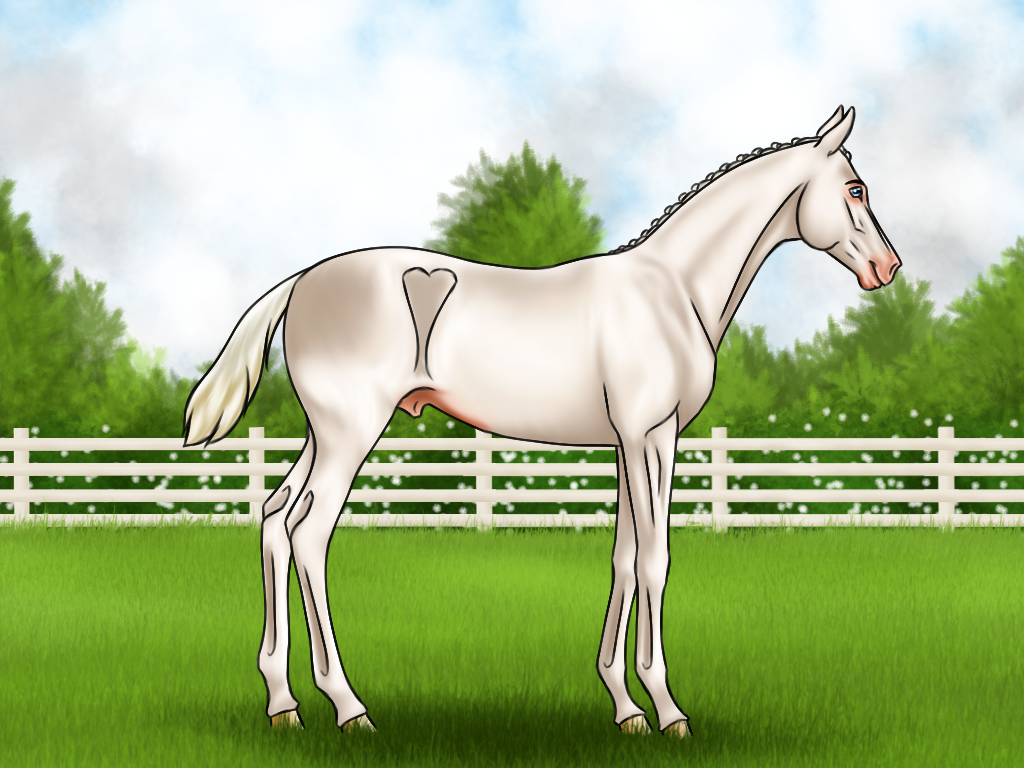 Fox equiBreak - Inspection