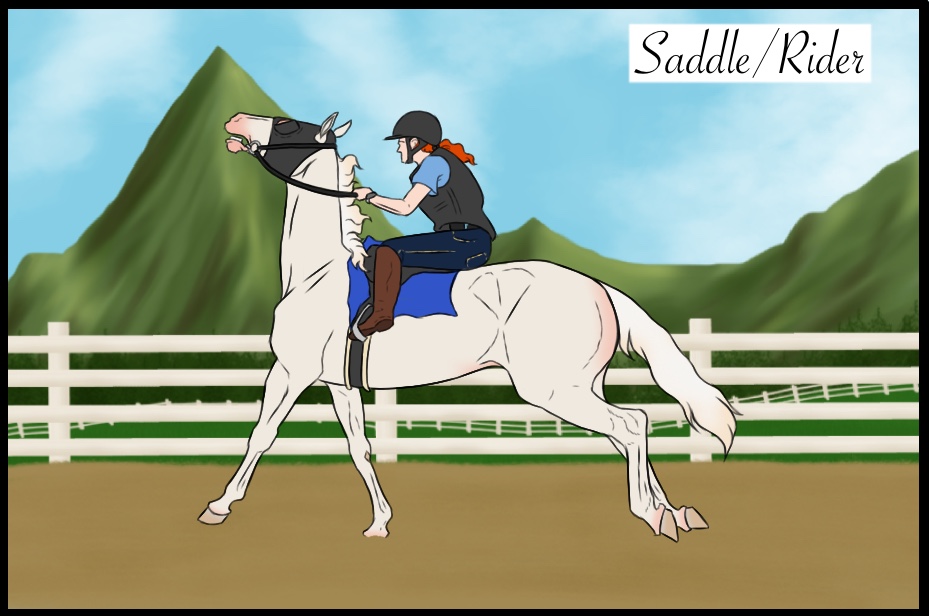 Fox Accepting Saddle/Rider