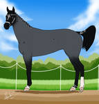 Equine Aristocracy by Caterang8