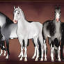 Shades of Grey Zlesdins