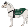 Emotional Support Pony