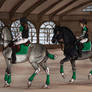 AA| Indoor Polo?