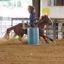 Pittsboro Horse Show 3-24-12