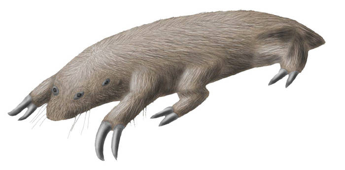 Mammal-like creature from Eurus (coloured)