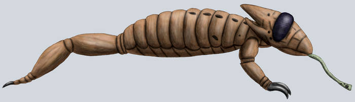 Dragonthunders Alien History giants, Early paleozoic monster scorpions by Dragonthunders on ...