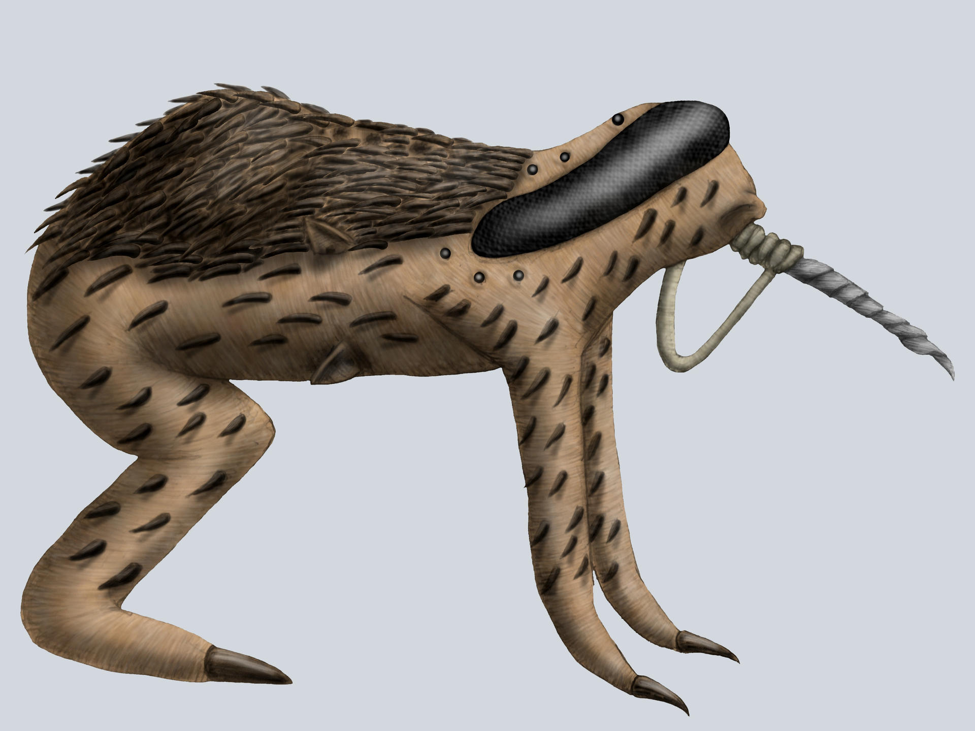 Common drill-rabbit by Katie-Xenobiology on DeviantArt