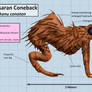 Akasaran Coneback