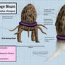 Sponge Bison