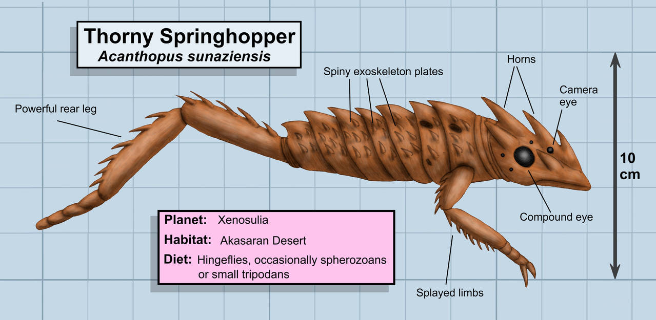 Thorny Springhopper by Katie-Xenobiology on DeviantArt