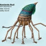 Mosslands Akuti