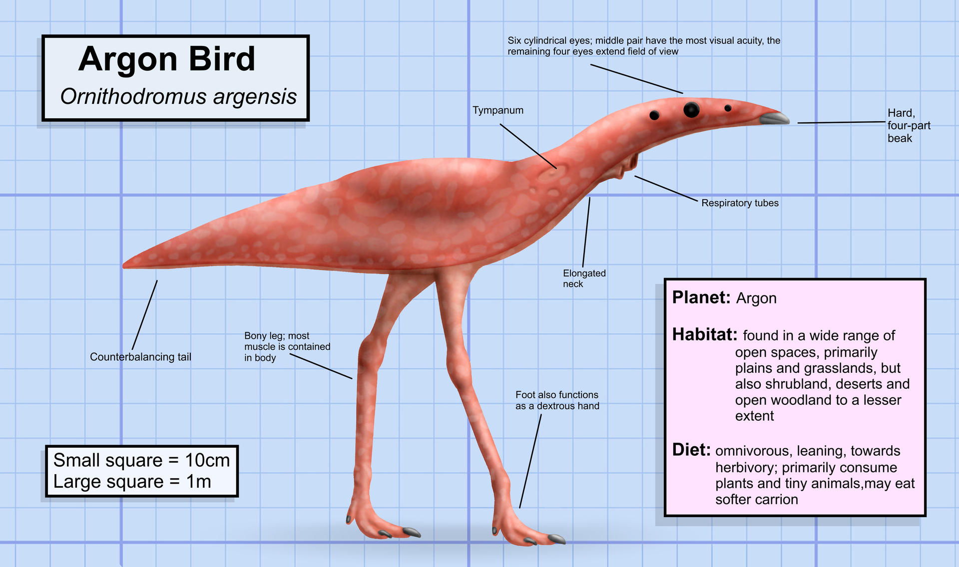 Argon Bird