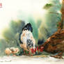 Kurza Sielanka /Chicken idyll