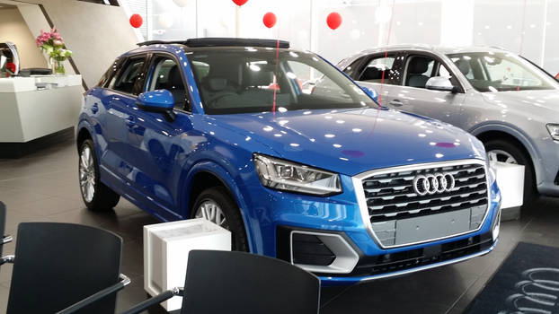 2017 Audi Q2