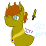 .:Mlp/MC/YT:. Sky pony!