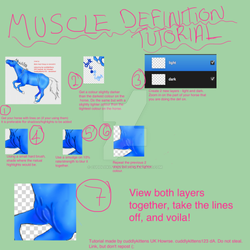 Horse muscle definition tutorial