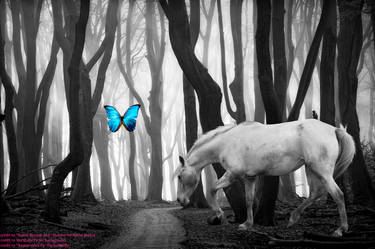 Horse and Butterfly