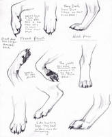 Wolf Paws