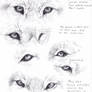Wolf eyes