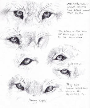 Wolf eyes