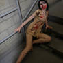 Silent Hill Sexiest   (onfloor)