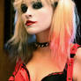 Harley Quinn Portrait