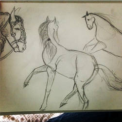 Horses pt1.