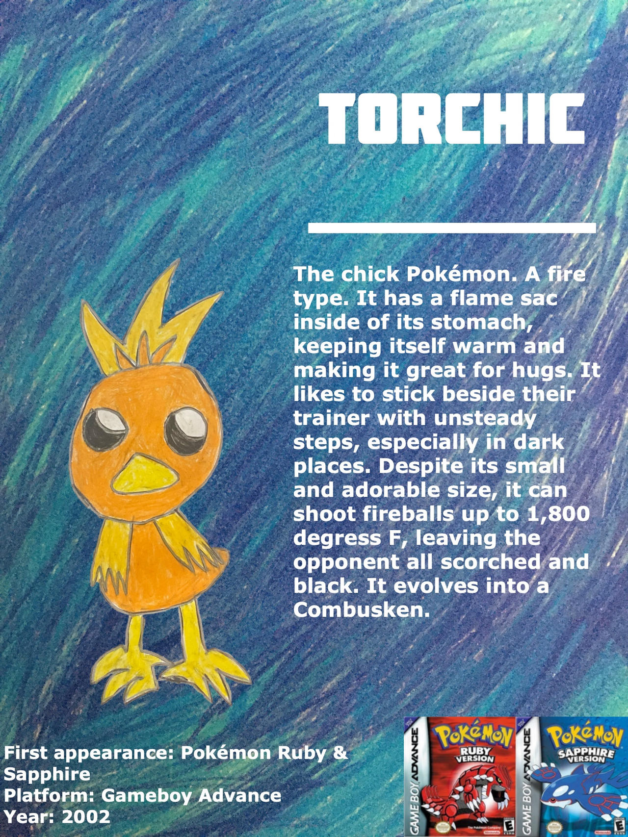 Torchic Evolution Drawing.pdf Torchic (character bio) by Sirplayalot64 on DeviantArt