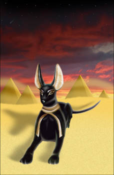 Anubis in the sand