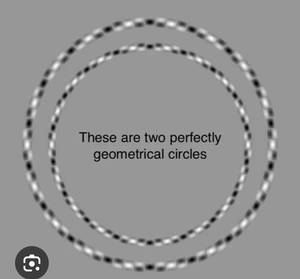 Perfect circles..