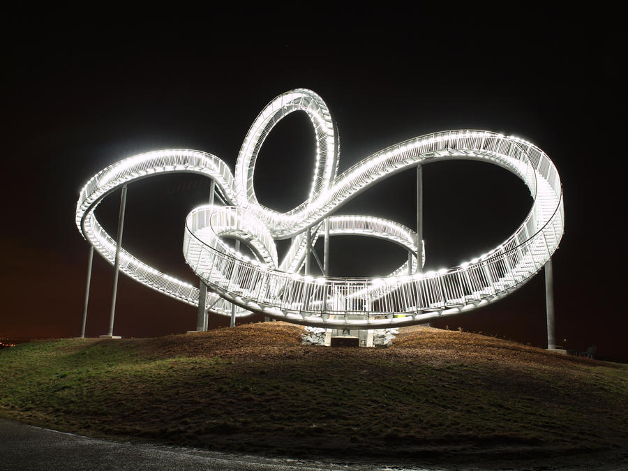 Tiger And Turtle II