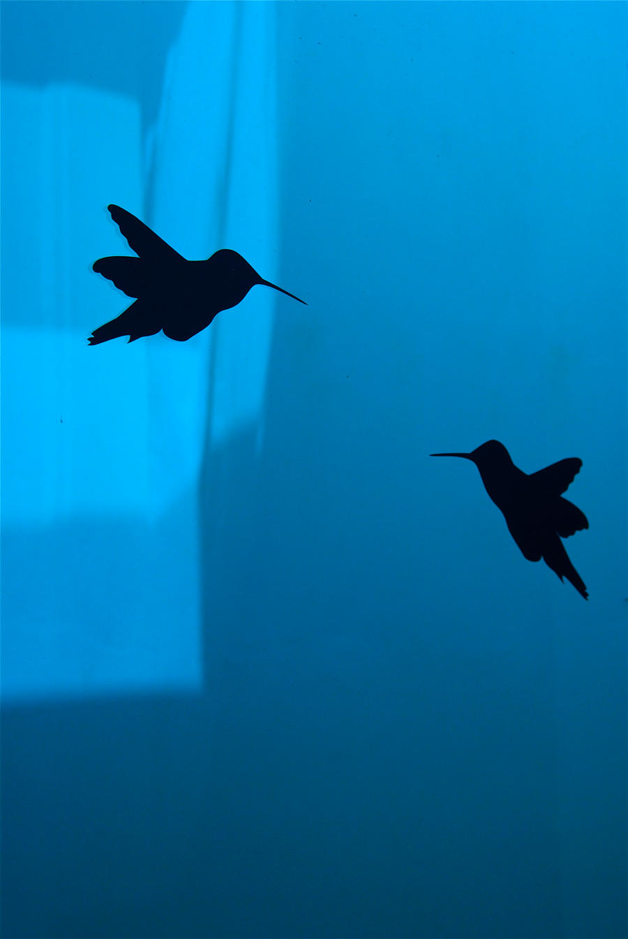 Blue Birds