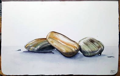 175 - Wet Rocks