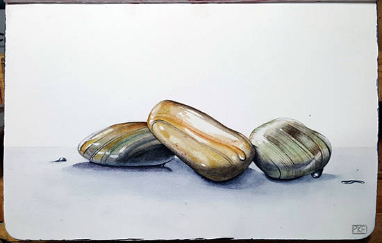 175 - Wet Rocks