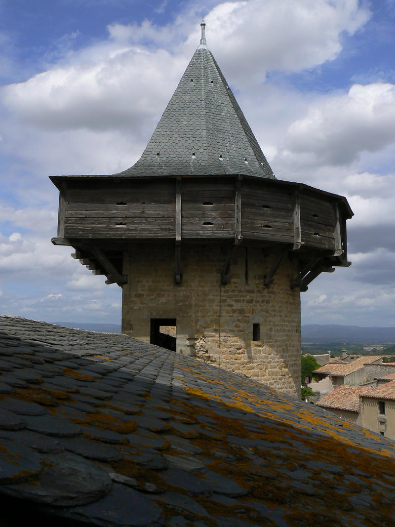 Carcassonne II