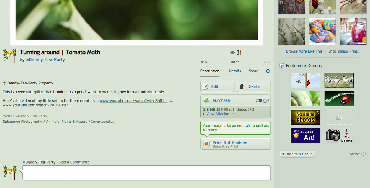 The DeviantART layout has changed! by OMG-ImSoAwesome on DeviantArt
