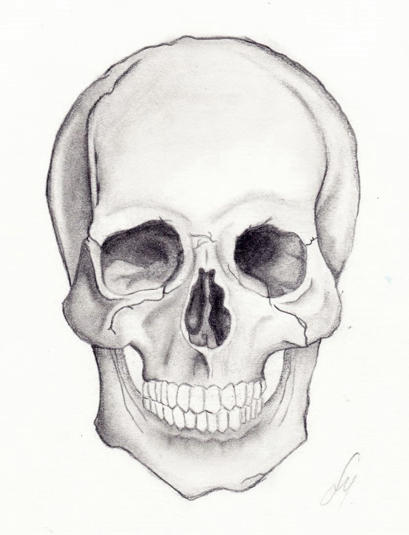 Skull