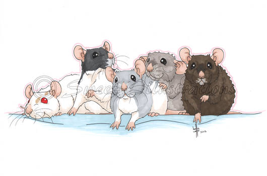 Rat Mingles!