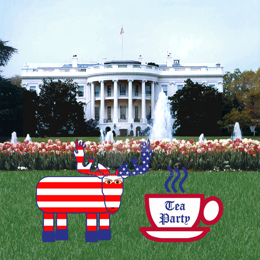 Tea Party Eyes The White House