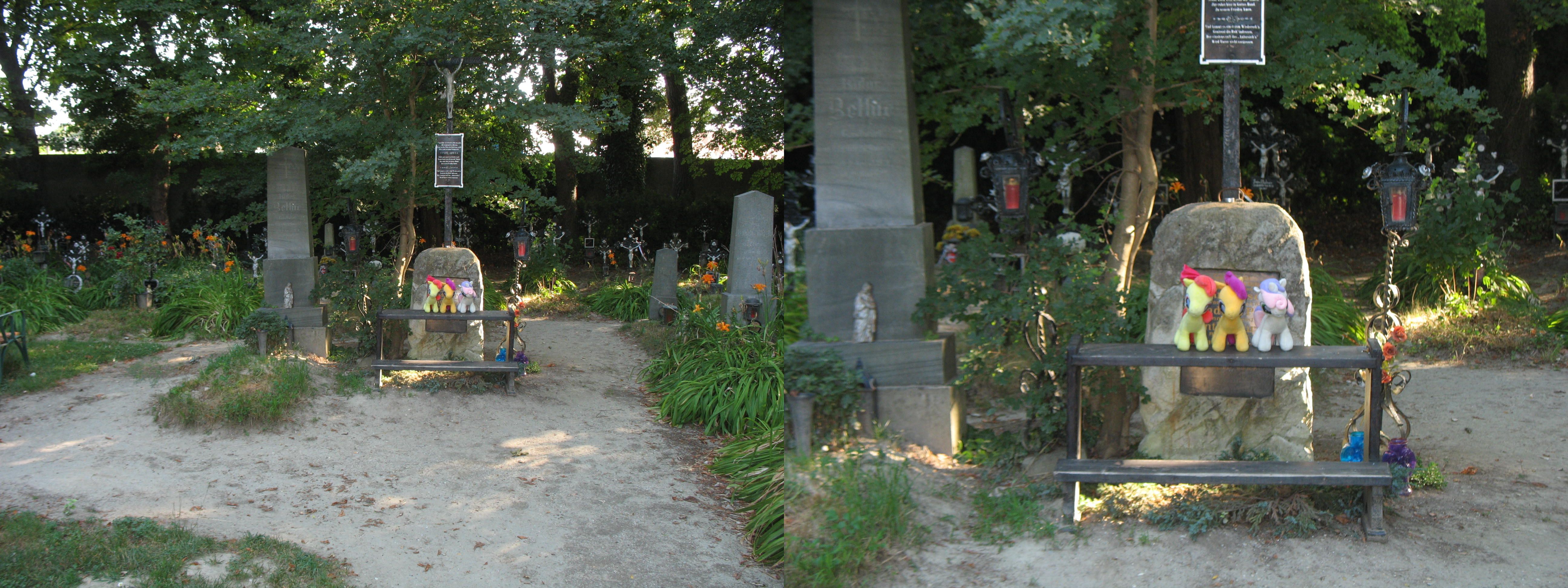 The CMC at the 'Cemetery of the Unnamed', Vienna