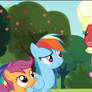 Scootaloo and Rainbow Dash are indignant (Gif)