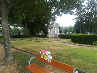 The Cutie Mark Crusaders @ Vienna Central Cemetery