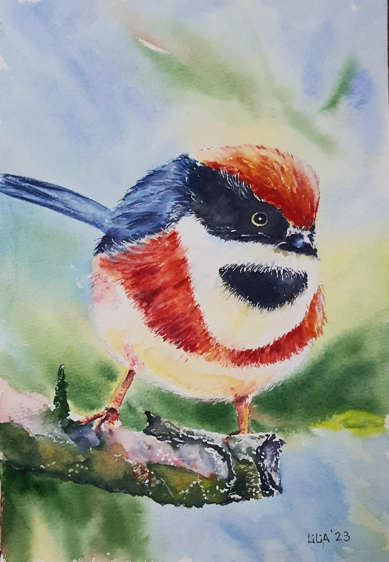 Birds Deviantart Bird by liliabirnaz on DeviantArt