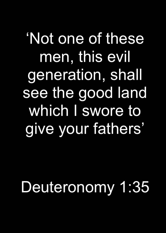 Deuteronomy 1:35 by samsonsmithy on DeviantArt