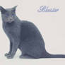 Bluestar